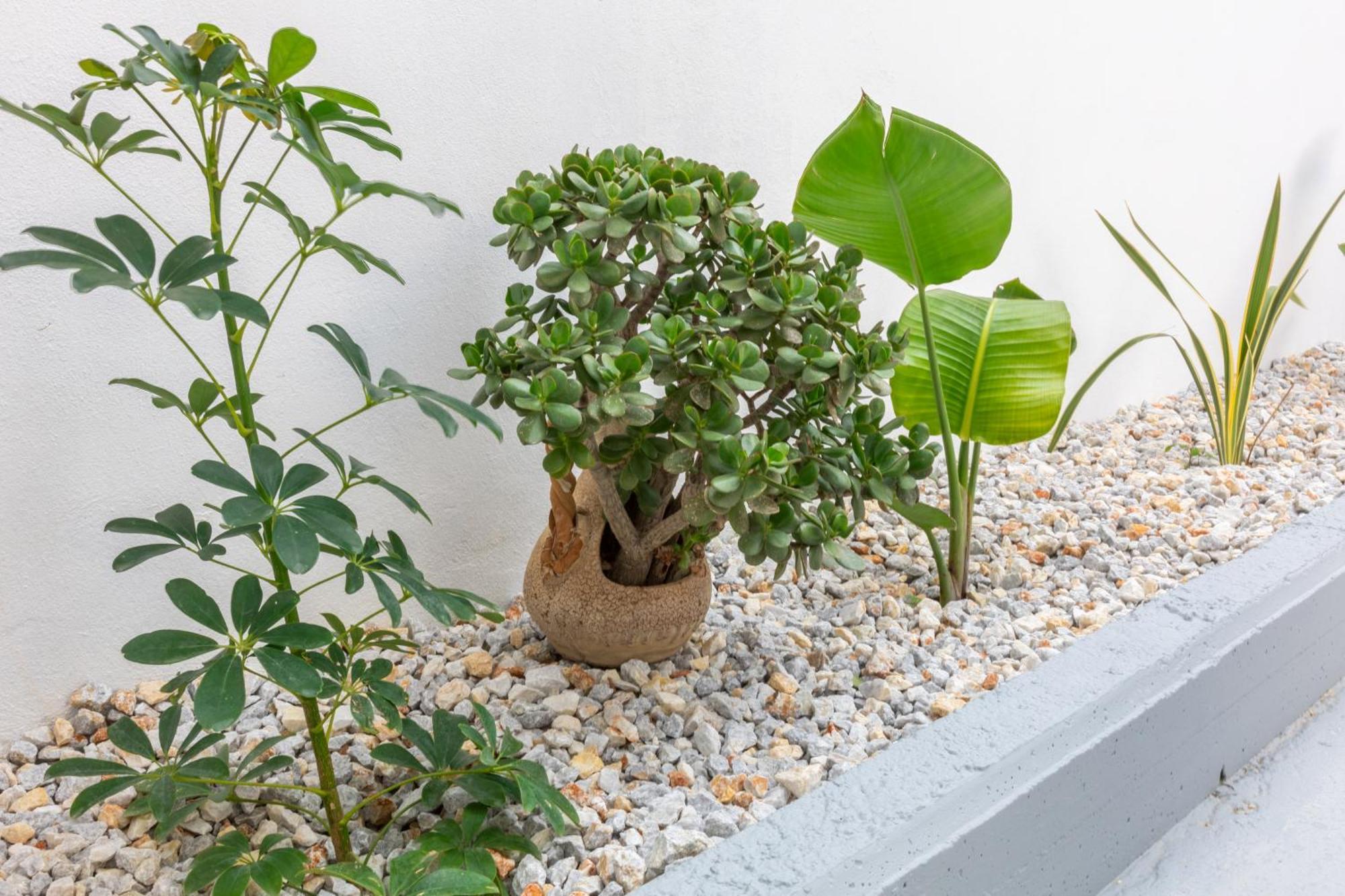 Garden Luxury * Heraklion (Crete)