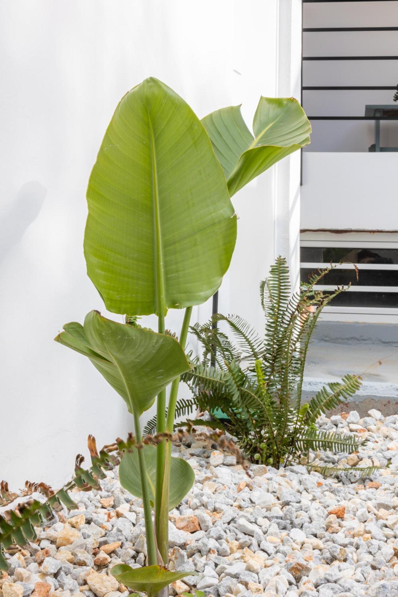 Garden Luxury * Heraklion (Crete)